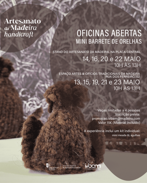 Venha aprender a fazer mini barretes de orelhas!
